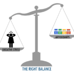 what is oxidative stress